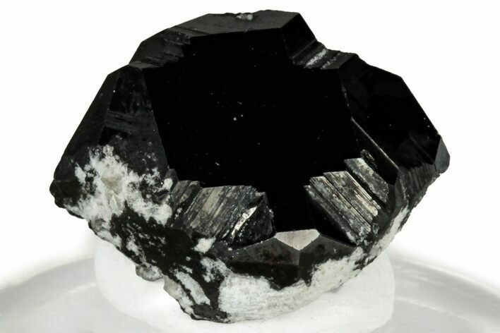 Lustrous Black Bixbyite Crystal - Utah #309324